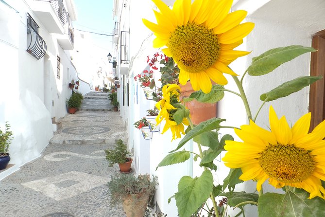 Frigiliana Small-Group Hike and Wine Tasting Tour From Malaga - Booking and Pricing