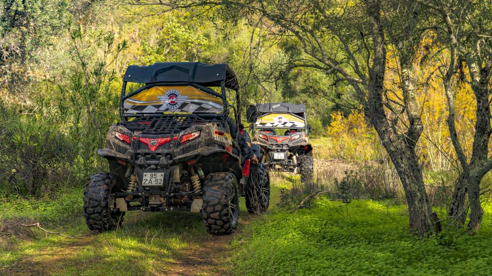 From Albufeira: Half-Day Buggy Adventure Tour - Customer Reviews