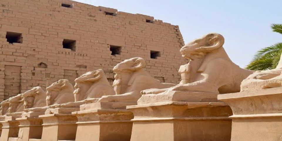 From Aswan: 6-Day Nile Cruise to Luxor With Balloon Ride - Valley of the Kings and Queen Hatshepsut