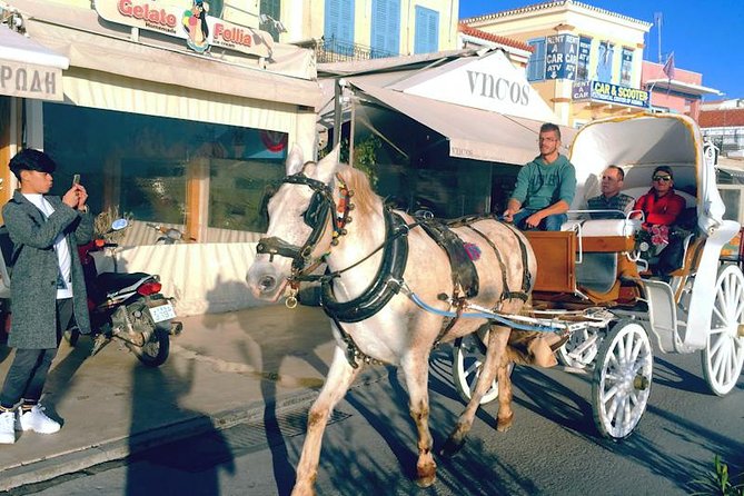 From Athens: Aegina Island Guided Tour in a Day - Host Response