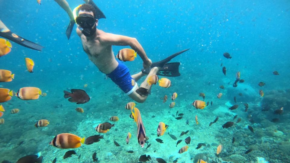 From Bali: Nusa Lembongan Snorkeling Mangrove and Land Tours - Tour Logistics and Inclusions