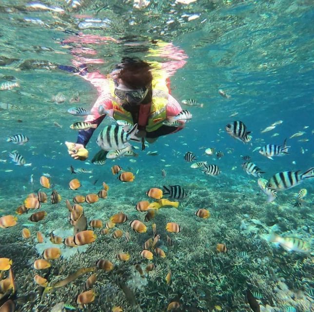From Bali : Nusa Penida Snorkeling and West Tour Inclusive - Tour Highlights