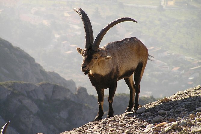 From Barcelona: Montserrat Monastery & Scenic Mountain Hike - Transportation Information