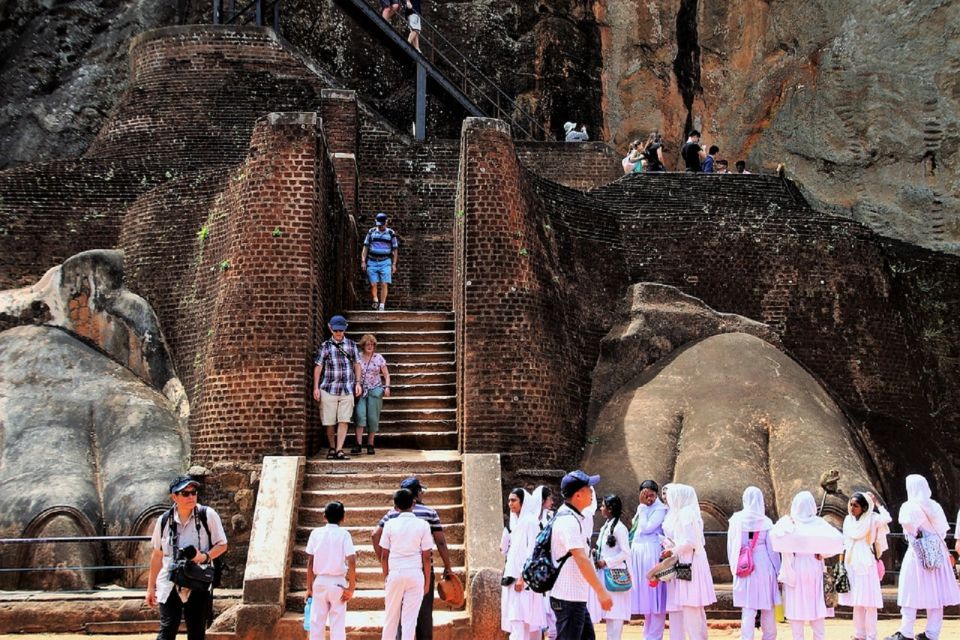 From Bentota: Day Trip to Sigiriya and Dambulla Temple - Customer Reviews and Ratings