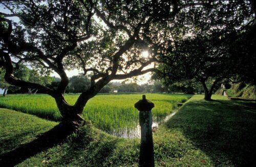 From Bentota or Beruwala: Geoffrey Bawa Country Estate Tour - Brief Garden Exploration