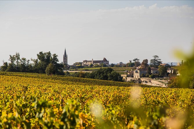 From Bordeaux: Saint-Émilion Half-Day Trip With Wine Tasting - Common questions