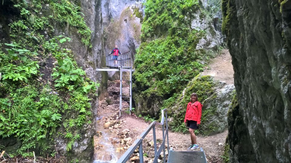 From Brasov: Day Trip to the Seven Ladders Canyon - Common questions
