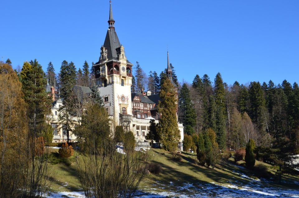 From Bucharest: Dracula Castle, Peles Castle and Brasov - Common questions