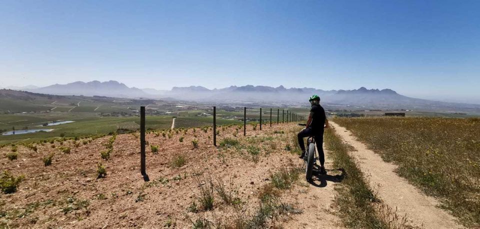 From Cape Town: Half-Day Winelands E-Bike Tour - Common questions