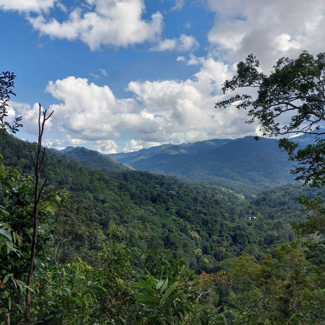 From Chiang Mai: Doi Saket Hiking Tour With Lunch - Hiking Trail Description