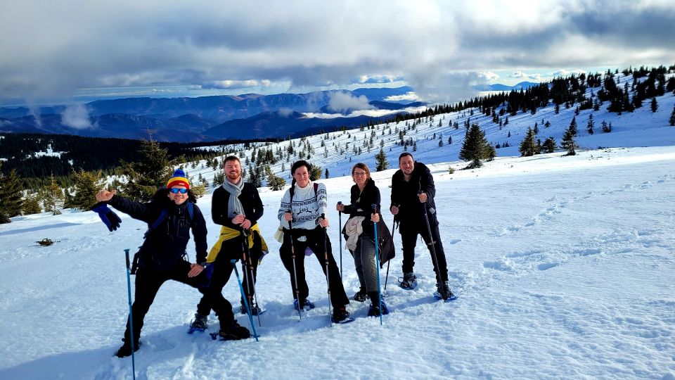 From Cluj: Winter Walking Trip on the Great Mountain - Customer Reviews and Recommendations