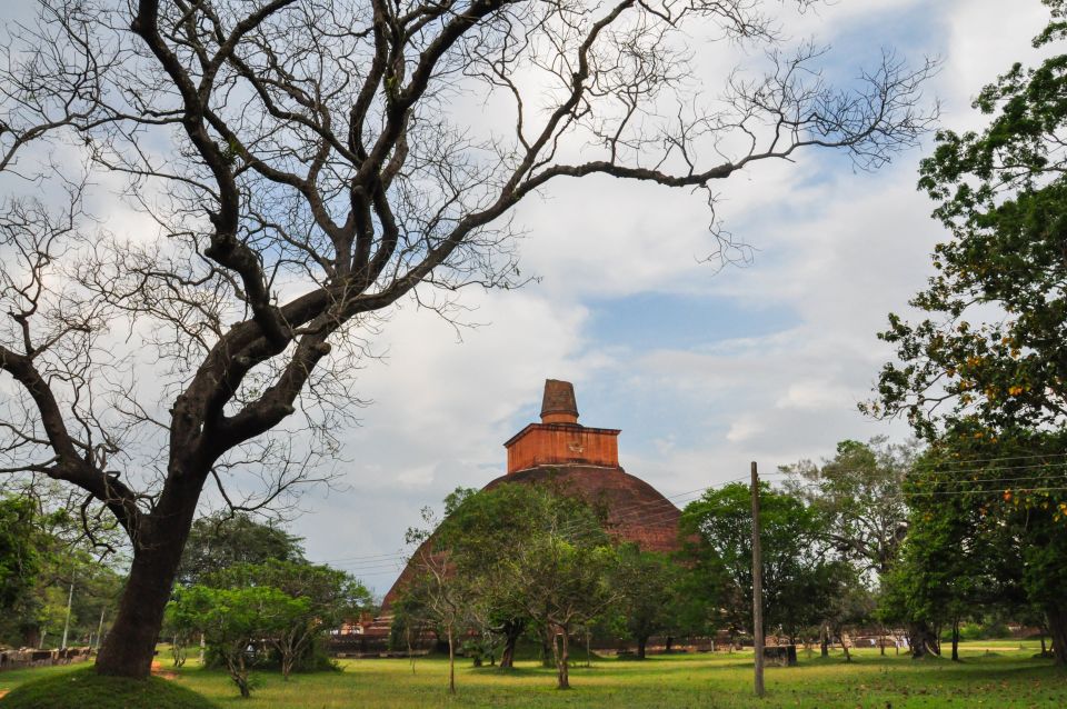 From Dambulla: Sacred City of Anuradhapura Private Day Tour - Dambulla Hotel Pickup