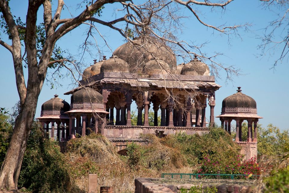 From Delhi: 4-Day Golden Triangle & Ranthambore Tiger Safari - Last Words