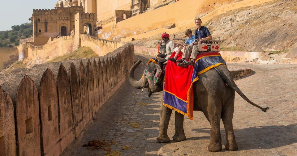 From Delhi: 7-Day Golden Triangle Trip & Ranthambore Safari - Exclusions