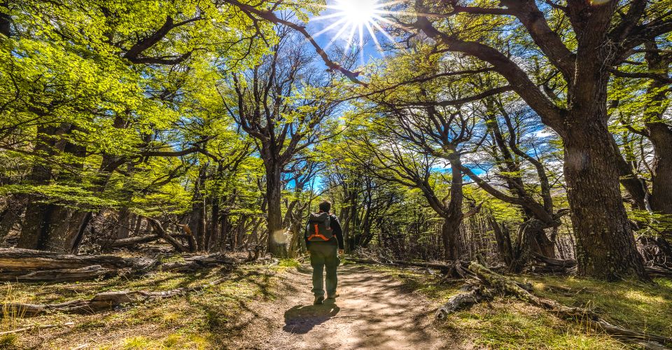 From El Calafate: Full-Day Tour to El Chaltén - Additional Information