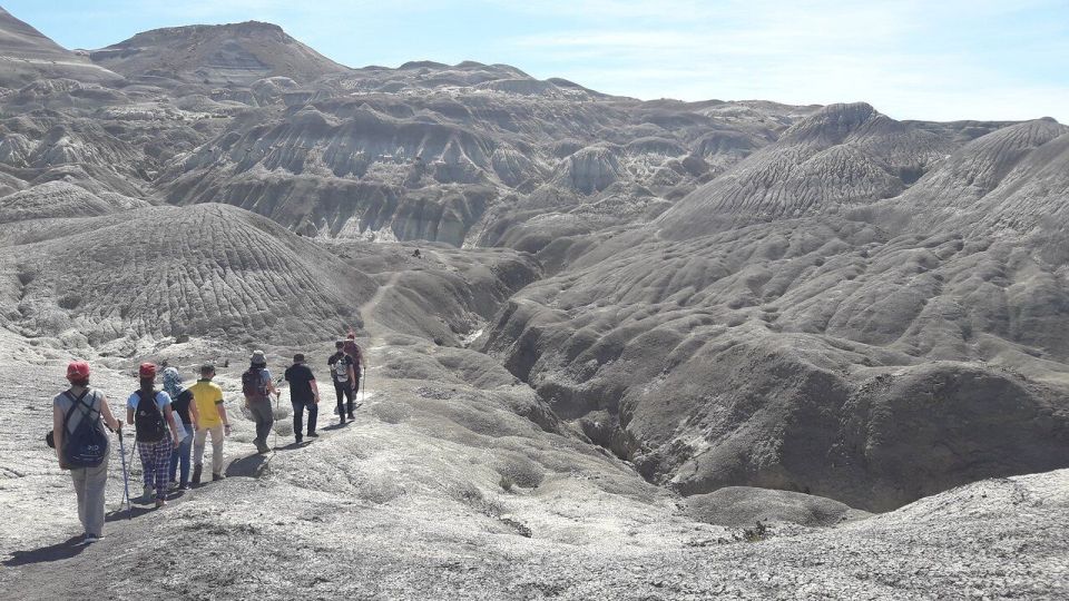 From El Calafate: La Leona Petrified Forest Tour - Background