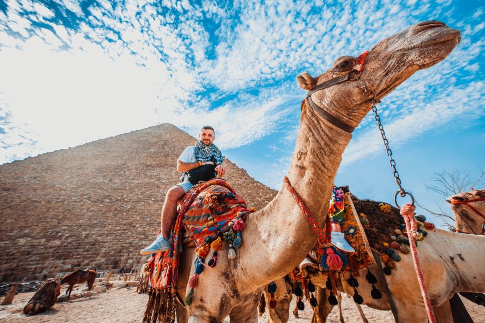 From El Gouna: Cairo and Giza Highlights Day Trip With Lunch - Transportation Experience