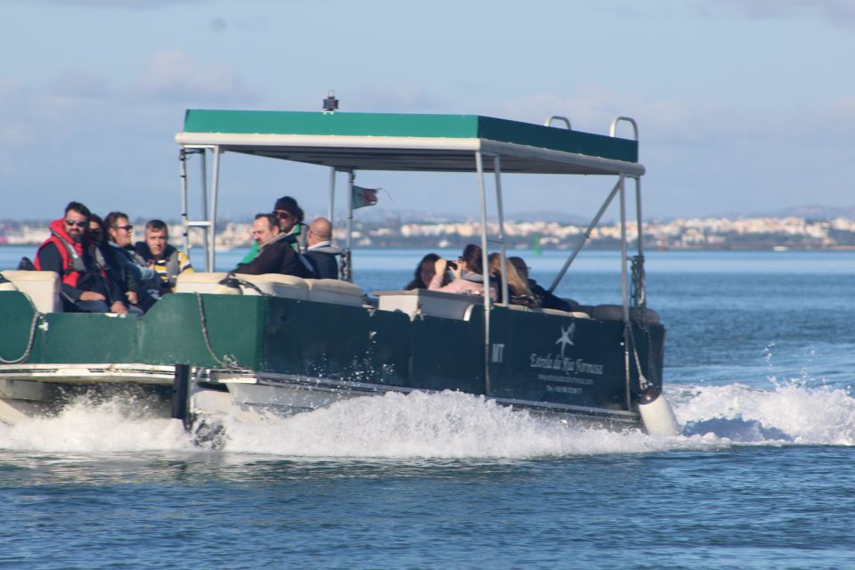 From Faro: Private Tour in Ria Formosa - Recommendations