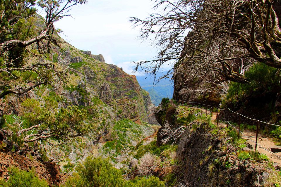 From Funchal: Madeira Peaks Mountain Walk - Common questions