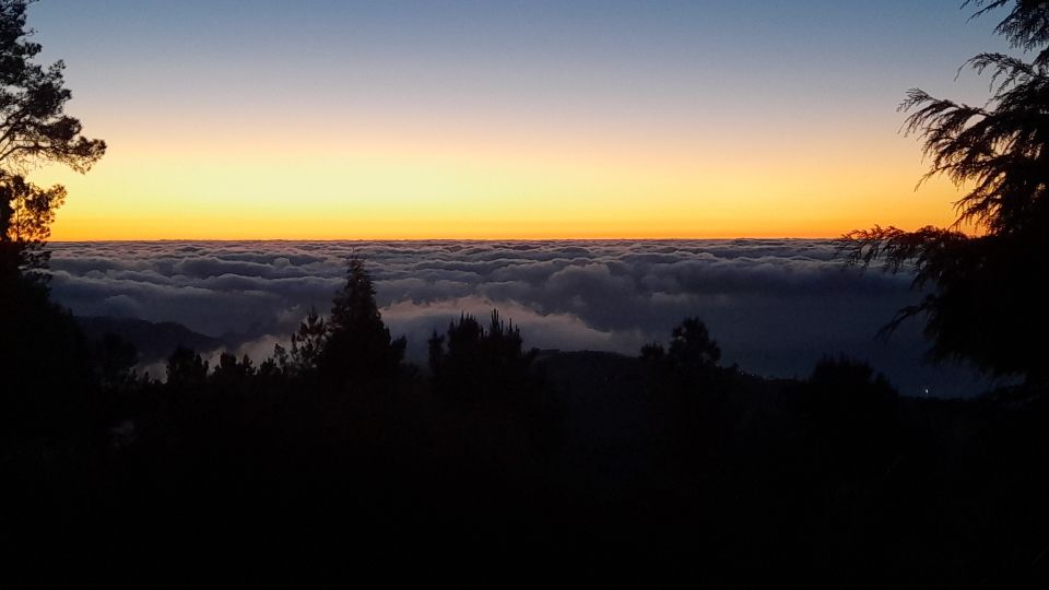 From Funchal: Pico Do Arieiro Sunset With Dinner and Drinks - Environmental Restrictions and Policies