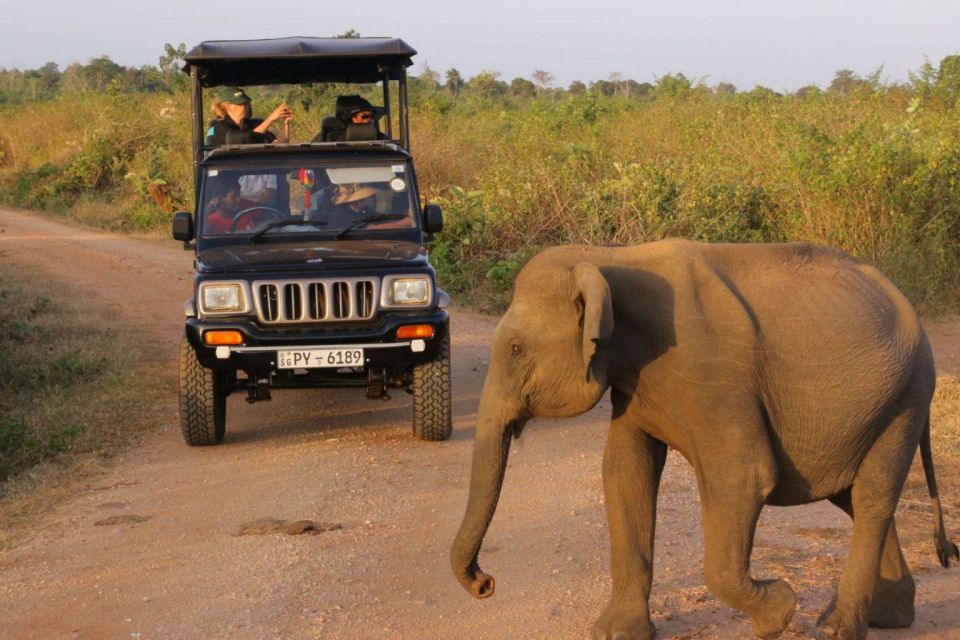 From Galle/Weligama/Mirissa : Yala Safari & Bird Park Tour - Directions