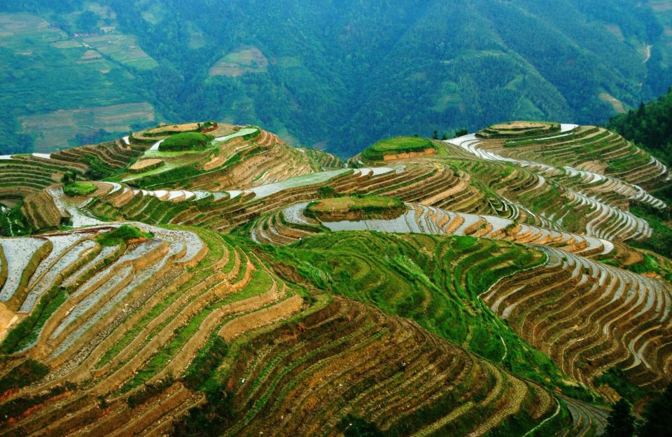 From Guilin: Longsheng Dragon's Backbone Rice Terraces - Directions