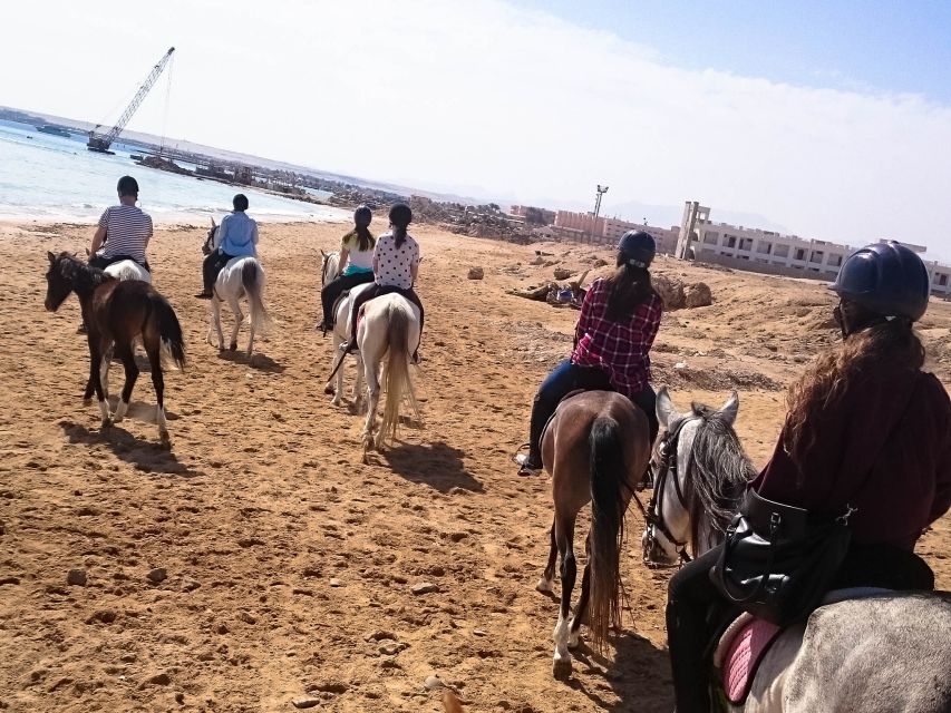 From Hurghada: Makadi Bay Horse Riding Tour - Tour Benefits