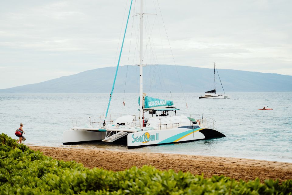 From Kaanapali: Afternoon West Maui Snorkeling & Sea Turtles - Last Words