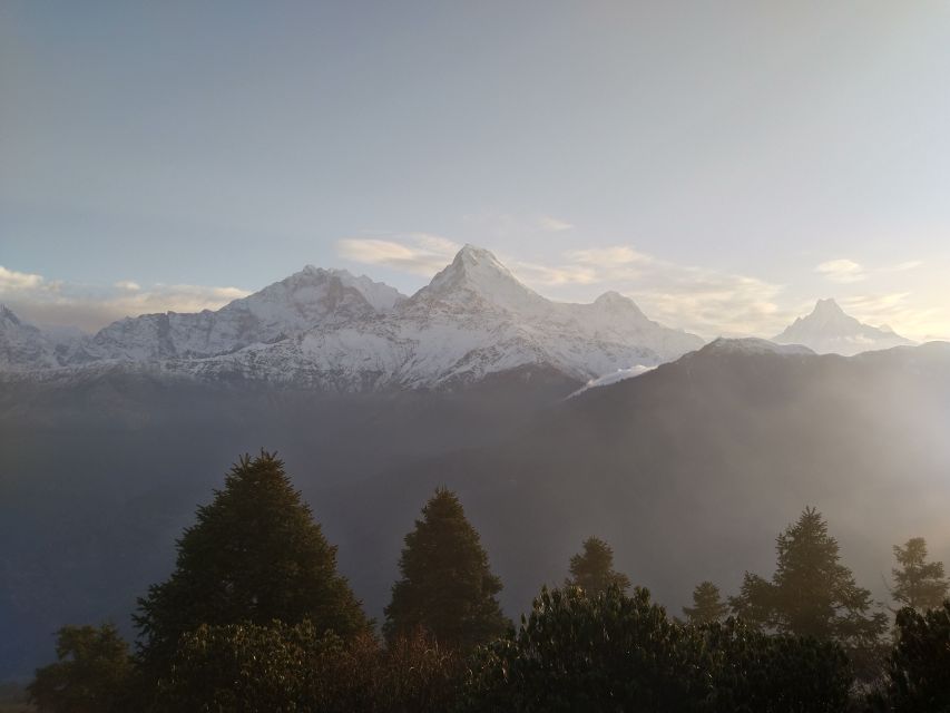 From Kathmandu: 7 Nights 8 Days Poon Hill Trek - Additional Information