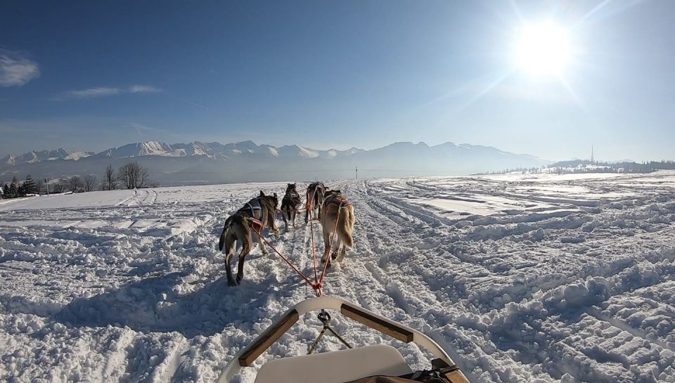 From Krakow: Dogsled Ride in Tatra Mountain - Directions for Participation