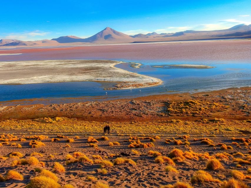From La Paz: 5-Day Uyuni and Red Lagoon Tour With Bus Ride - Meeting Point and Services
