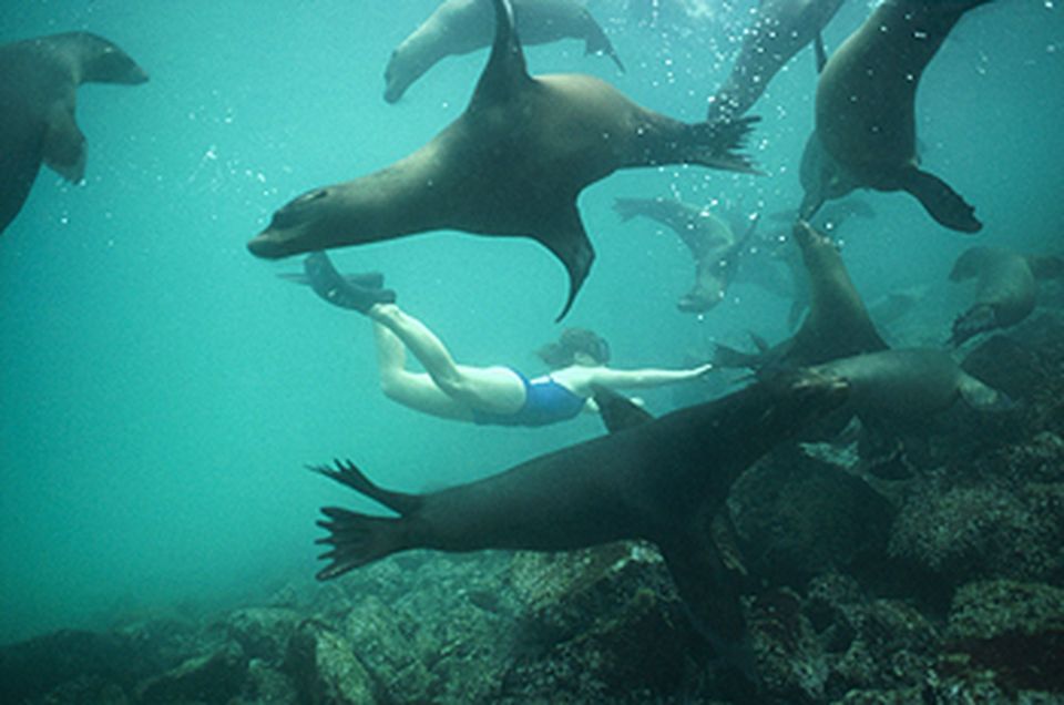 From La Paz: Swim With Sea Lions & Espíritu Santo Boat Tour - Directions