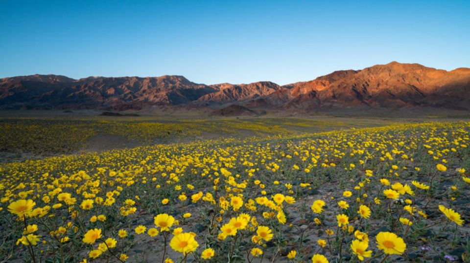 From Las Vegas: Full Day Death Valley Group Tour - Common questions