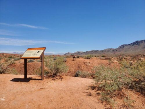 From Las Vegas: Valley of Fire Small Group Tour - Background