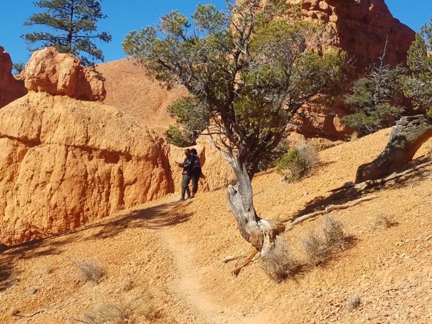 From Las Vegas: Zion and Bryce Canyon Guided Day Tour - Visitor Information