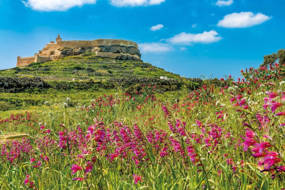 From Malta: Gozo Jeep Tour With Lunch and Hotel Transfers - Tour Itinerary