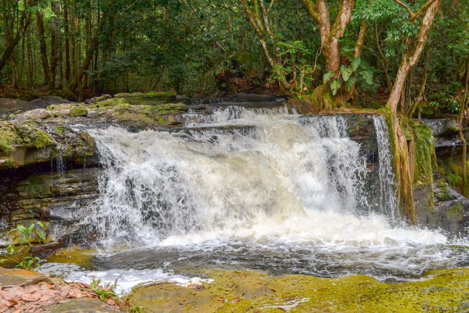 From Manaus: Presidente Figueiredo Waterfalls Daytrip - Directions