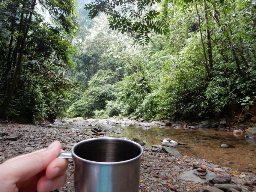 From Medan: 4 Day Tour to Bukit Lawang Incl. Jungle Trek - Common questions