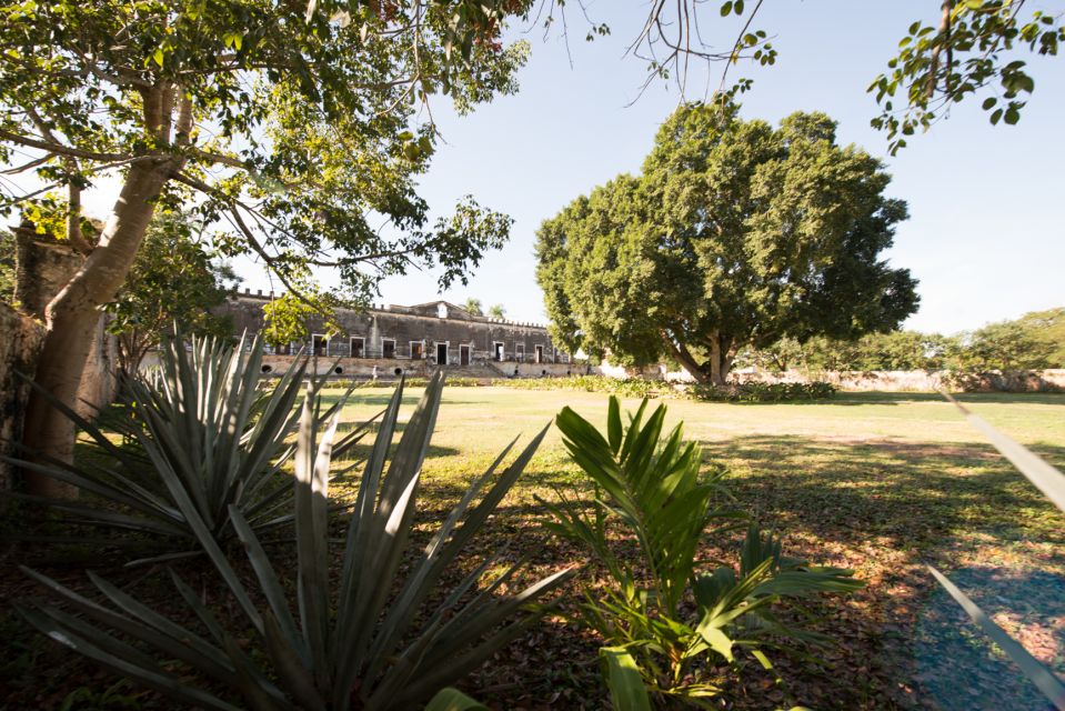 From Merida: Uxmal, Hacienda Yaxcopoil and Cenote With Lunch - Tour Inclusions