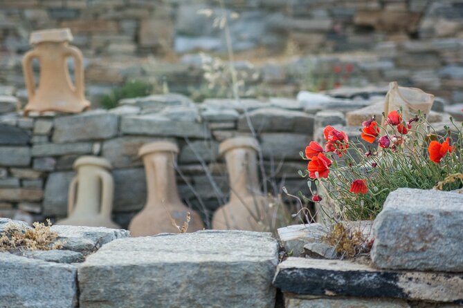 From Naxos or Paros: Delos and Mykonos Visit With Expert Guide (Full Day Cruise) - Ancient Sites Exploration