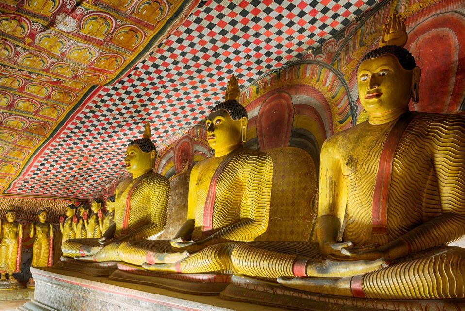 From Negombo: Dambulla Caves & Kaudulla National Park Safari - Highlights