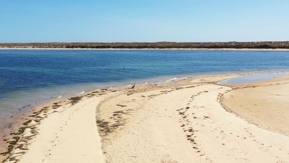 From Olhão: Ria Formosa 3-Island Full-Day Tour - Activity Highlights