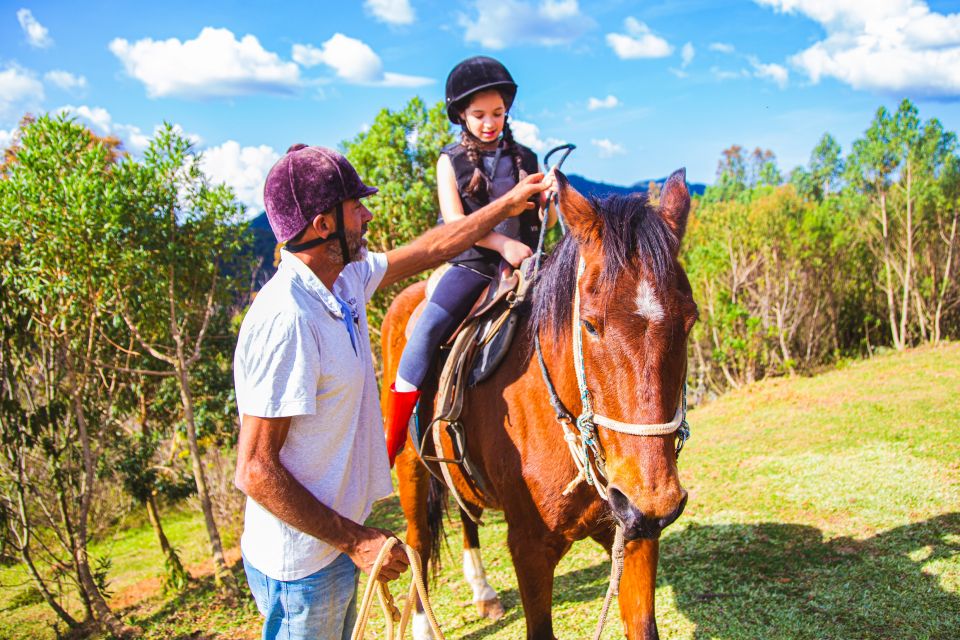 From Paraty: Horse-Riding Experience, Picnic, and Driver - Experience Overview
