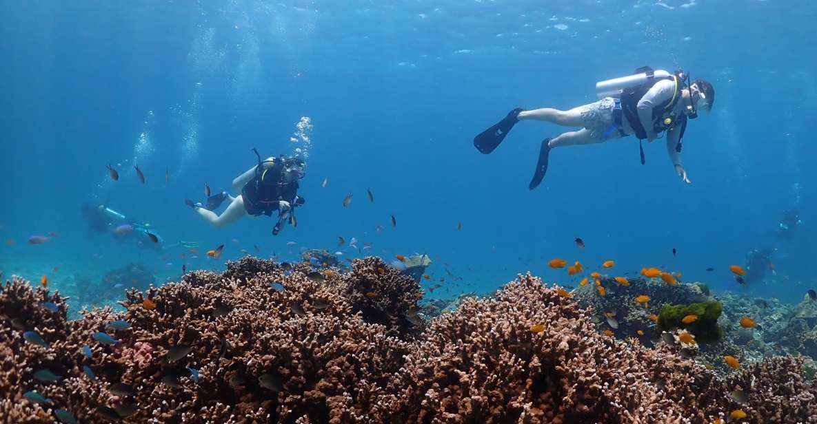From Phuket: 3-Day SSI/PADI Open Water Diver Certification - Diving Experience Highlights