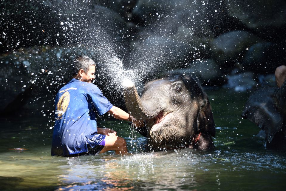 From Phuket: Elephant Care Experience With Rafting & Zipline - Booking Flexibility