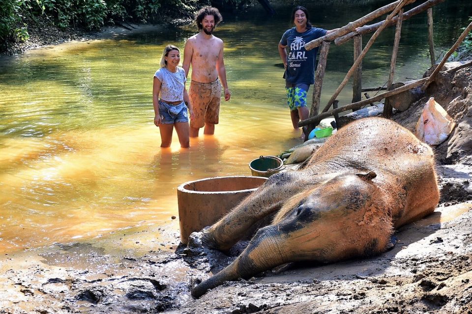 From Phuket: Elephant & Sea Turtle Conservation Private Tour - Bamboo Rafting Adventure