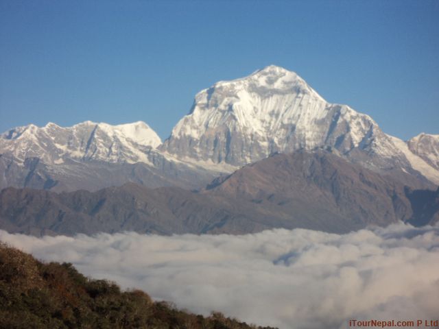 From Pokhara: Annapurna Base Camp Trek - Common questions