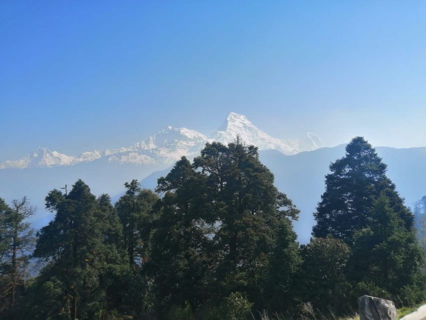 From Pokhara: Budget, 5 Day Poon Hill,Hot Spring Trek - Booking Information