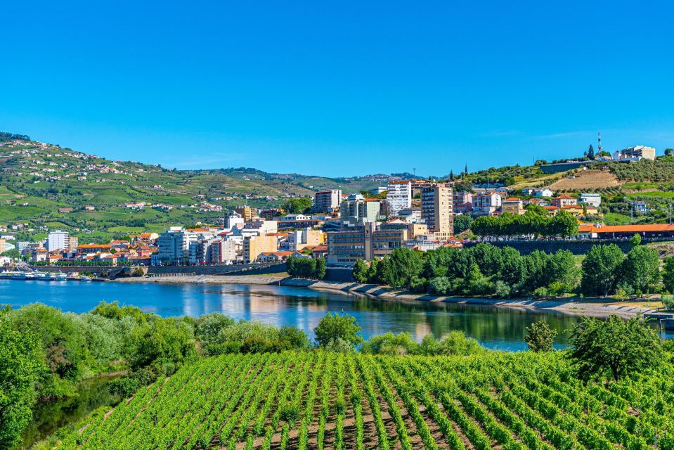 From Porto: Full-Day Douro Valley Trip and Port Wine Tasting - Itinerary Highlights