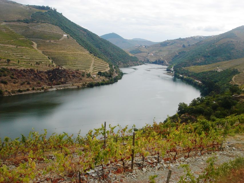 From Porto: Full-Day Douro Valley Wine Tour - Common questions